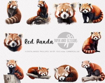 Red Panda Clipart, Red Panda PNG, Red Panda illustration, Red Panda JPEG, Transparent background, Instant download, Panda Wall Art, 12x12