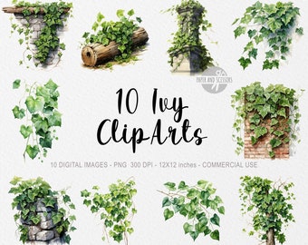 10 Ivy ClipArts, Ivy PNG, Ivy illustration, Watercolor Flowers, Floral PNG, Flowers ClipArt, Flowers PNG, Spring Clipart, Spring Png