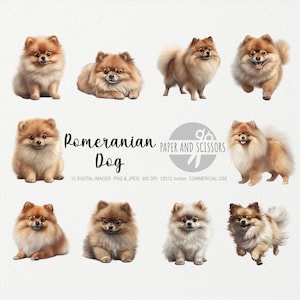 Pomeranian Clipart, Pomeranian PNG, Ilustracja Pomeranian, Clipart z psem, Pies PNG, Akwarela z psem, Sztuka ścienna z psem, Miłośnik psów, Ilustracja z psem