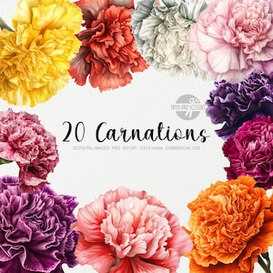 20 Carnation Flowers ClipArt, Carnations PNG, Watercolor Flower, Floral PNG, Flowers ClipArt, Flowers PNG, Pink Flower, Red Flower, Peonies