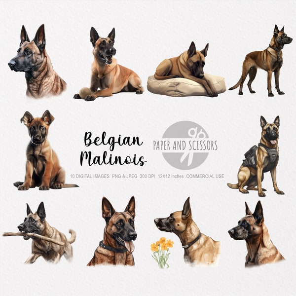 Belgian Malinois Clipart, Belgian Malinois PNG, Belgian Malinois illustration, Dog Clipart, Dog PNG, Dog Watercolor, Dog Wall Art, Dog lover