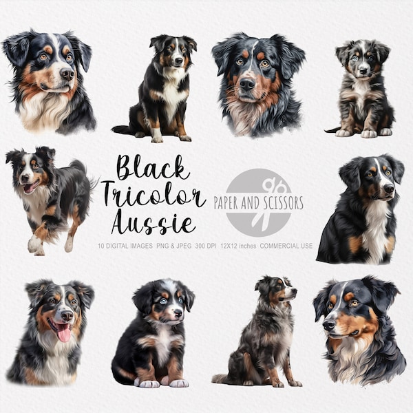 Black Tricolor Australian Shepherd Dog Clipart, Black Tricolor Aussie PNG, Black Tricolor Aussie illustration, Dog Clipart, Dog PNG, Aussie