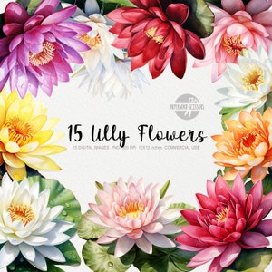 15 Water Lilly ClipArt, Water Lilly PNG, Lotus illustratie, aquarel bloemen, bloemen PNG, bloemen ClipArt, bloemen PNG, waterlelie bloem