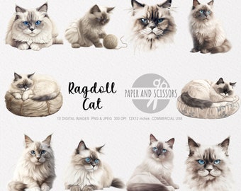 Ragdoll Cat Clipart, Ragdoll Cat PNG, Ragdoll Cat  illustration, Transparent background, Instant download, Digital art, Cat Wall Art, 12x12