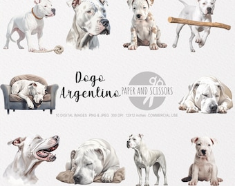 Dogo Argentino Clipart, Dogo Argentino PNG, Dogo Argentino illustration, Dog Clipart, Dog PNG, Dog Watercolor, Dog Wall Art, Dog lover