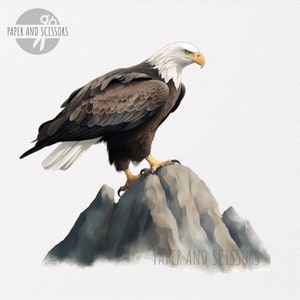 Bald Eagle Clipart, Bald Eagle PNG, Bald Eagle illustration, Animal Clipart, Transparent background, Instant download, Digital art, Wall Art image 3