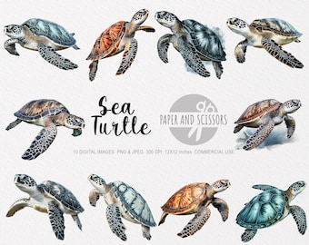 Sea Turtle Clipart, Sea Turtle PNG, Sea Turtle illustration, Ocean Animals, Commercial license, Nursery Wall Art, Printable wall art