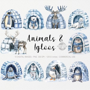 10 images clipart animaux d'igloo, PNG arctique, illustration d'hiver, aquarelle de neige, esquimau, ours, pingouin, autocollants bleus mignons, amis polaires
