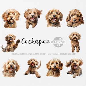 Cockapoo Clipart, Cockapoo PNG, Illustrazione Cockapoo, Clipart per cani, Sfondo trasparente, Download istantaneo, Arte digitale, Cane acquerello