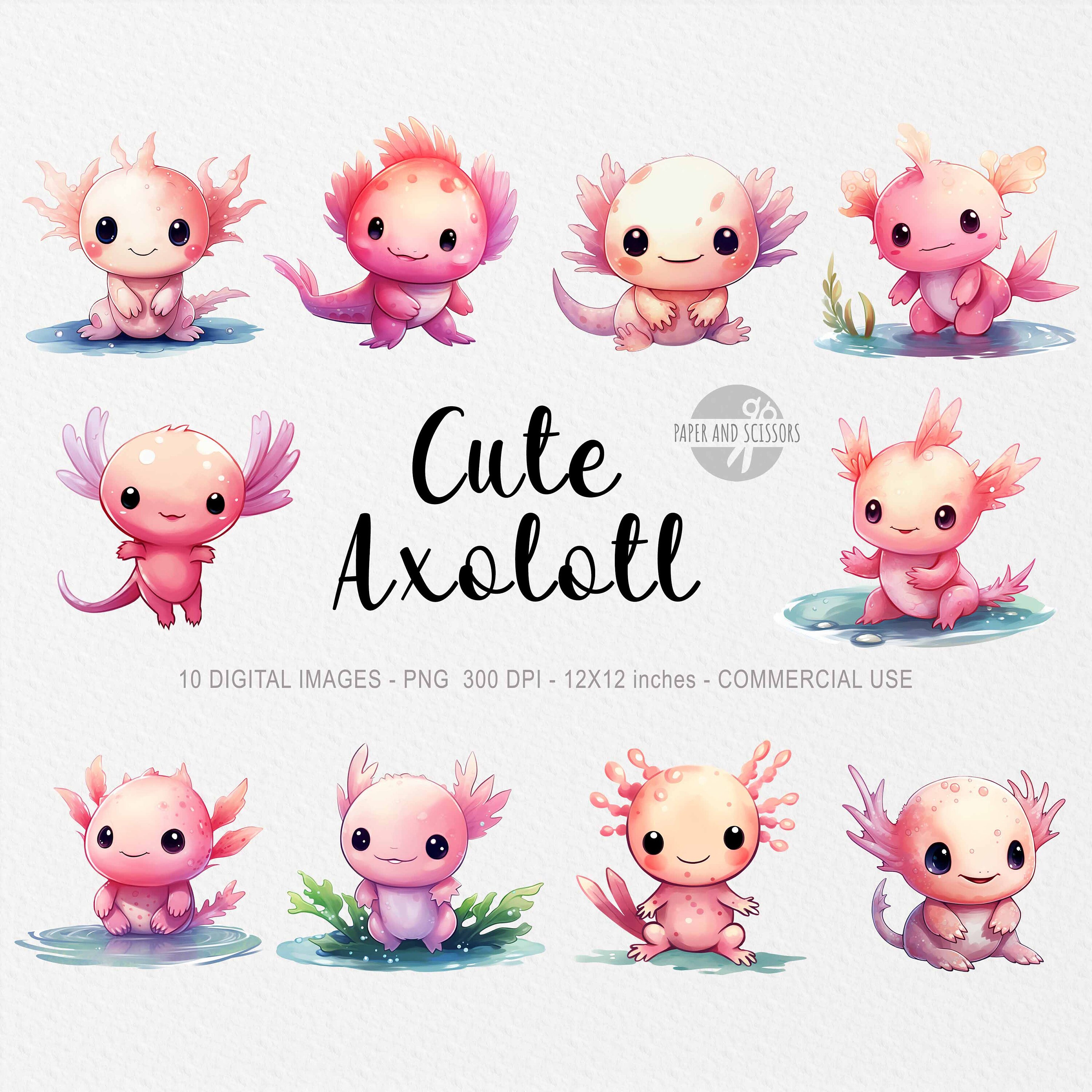 Cute Baby Axolotl Pictures Cartoon Cute Baby Axolotl Pictures Cartoon