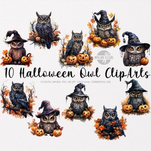 10 Halloween Owl ClipArt, Watercolor Halloween Owl PNG, Halloween ClipArt, Halloween PNG, Owl PNG, Bird ClipArt, Animal Png, Autumn ClipArt