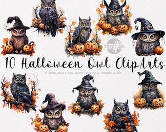 10 Halloween Owl ClipArt, Watercolor Halloween Owl PNG, Halloween ClipArt, Halloween PNG, Owl PNG, Bird ClipArt, Animal Png, Autumn ClipArt