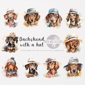 Dackel mit Hut Clipart, Dackel PNG, Dackel Illustration, Hund Clipart, Hund PNG, Hund Aquarell, Hund Wandkunst, lustiger Hund, süßer Hund