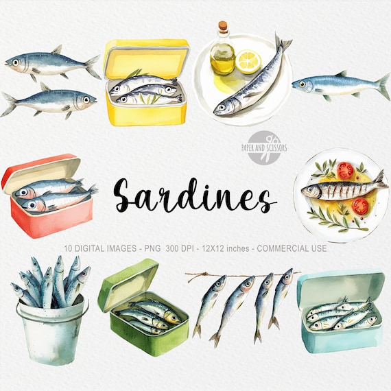 10 Silly Sardine ClipArts, Watercolor Fish PNG, Fisherman Aesthetics, Kitchen WallArt Print, Sea Sublimation, Food Illustration, Retro Decor