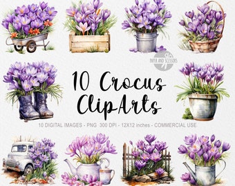 10 Crocus ClipArts, Crocus PNG, Crocus illustration, Watercolor Flowers, Floral PNG, Flowers ClipArt, Flowers PNG, Spring Clipart, Crocus