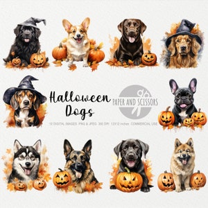 Halloween Hunde Clipart, Halloween Hunde PNG, Hund Clipart, Hund PNG, Hund Aquarell, Herbst Clipart, ClipArt Herbst, Halloween ClipArt, Kürbis