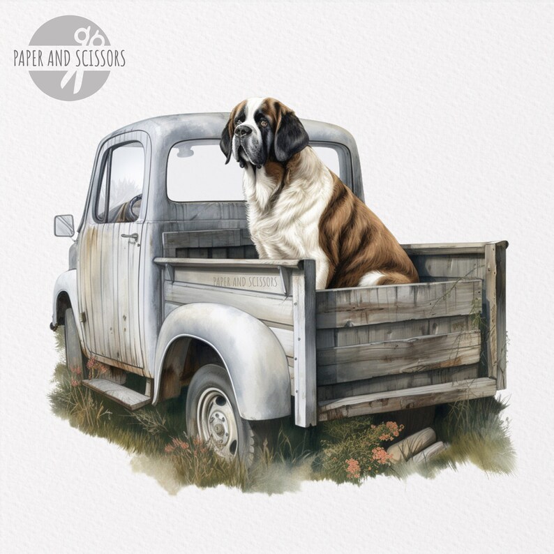Pode incluir: Uma camioneta vintage branca com um c&atilde;o S&atilde;o Bernardo sentado na ca&ccedil;amba. A camioneta est&aacute; desgastada e tem uma ca&ccedil;amba de madeira. O c&atilde;o est&aacute; olhando para a esquerda da imagem.