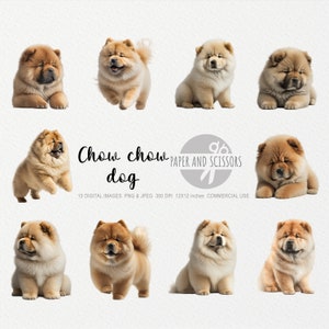 Chow Chow Clipart, Chow Chow Dog PNG, Dog illustration, Dog Clipart, Transparent background, Instant download, Digital art, Wall Art 12x12