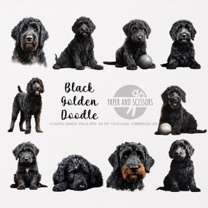 Black Goldendoodle Clipart, Black Goldendoodle PNG, Goldendoodle illustration, Dog Clipart, Dog PNG, Dog Watercolor, Dog Wall Art, Dog lover