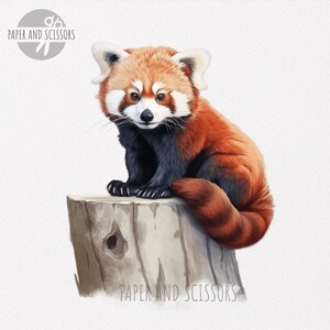 May include: A red panda sitting on a tree stump. The red panda has a long, bushy tail and is looking at the camera. The tree stump is brown and has a hole in it.