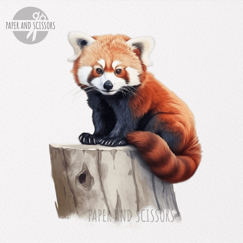 May include: A red panda sitting on a tree stump. The red panda has a long, bushy tail and is looking at the camera. The tree stump is brown and has a hole in it.