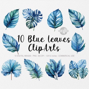 10 blaue Dschungelblätter ClipArt, Dschungelblätter PNG, Blätter Illustration, Aquarellblatt, Blumen PNG, Dschungel ClipArt, Monstera, Banane