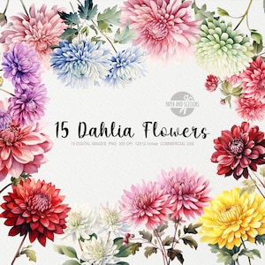 15 Dahlia fleurs ClipArt, Dahlia PNG, Dahlia illustration, aquarelle fleurs, Floral PNG, fleurs ClipArt, fleurs PNG, Dahlia rouge, rose