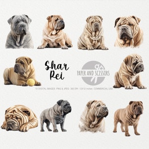 Shar Pei Clipart, Shar Pei PNG, Shar Pei Illustration, Hund Clipart, Hund PNG, Hund Aquarell, Hund Wandkunst, Hundeliebhaber, Hundeportrait, Haustier Kunst