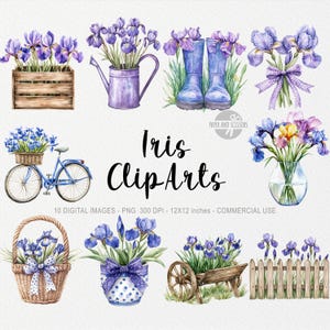 10 cliparts iris, fleur PNG, illustration de printemps, impression bohème aquarelle, décoration florale, jardin, Pâques Cottagecore, noeud de carnet Coquette