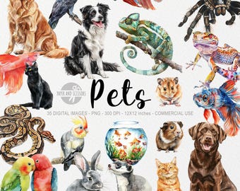 Pets Hobby Clipart, Cute PEts Clipart, Watercolor Pet PNG, Dog, Cat, Fish, Mouse, Lizard, Snake, Bird, Parrot, Tarantula, Digital Download