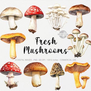 10 imágenes prediseñadas de hongos, motivos de hongos, imágenes prediseñadas de cocina, álbum de recortes imprimible, impresión de tarjetas de menú, cosecha de jardín de primavera, paquete de arte de decoración de alimentos