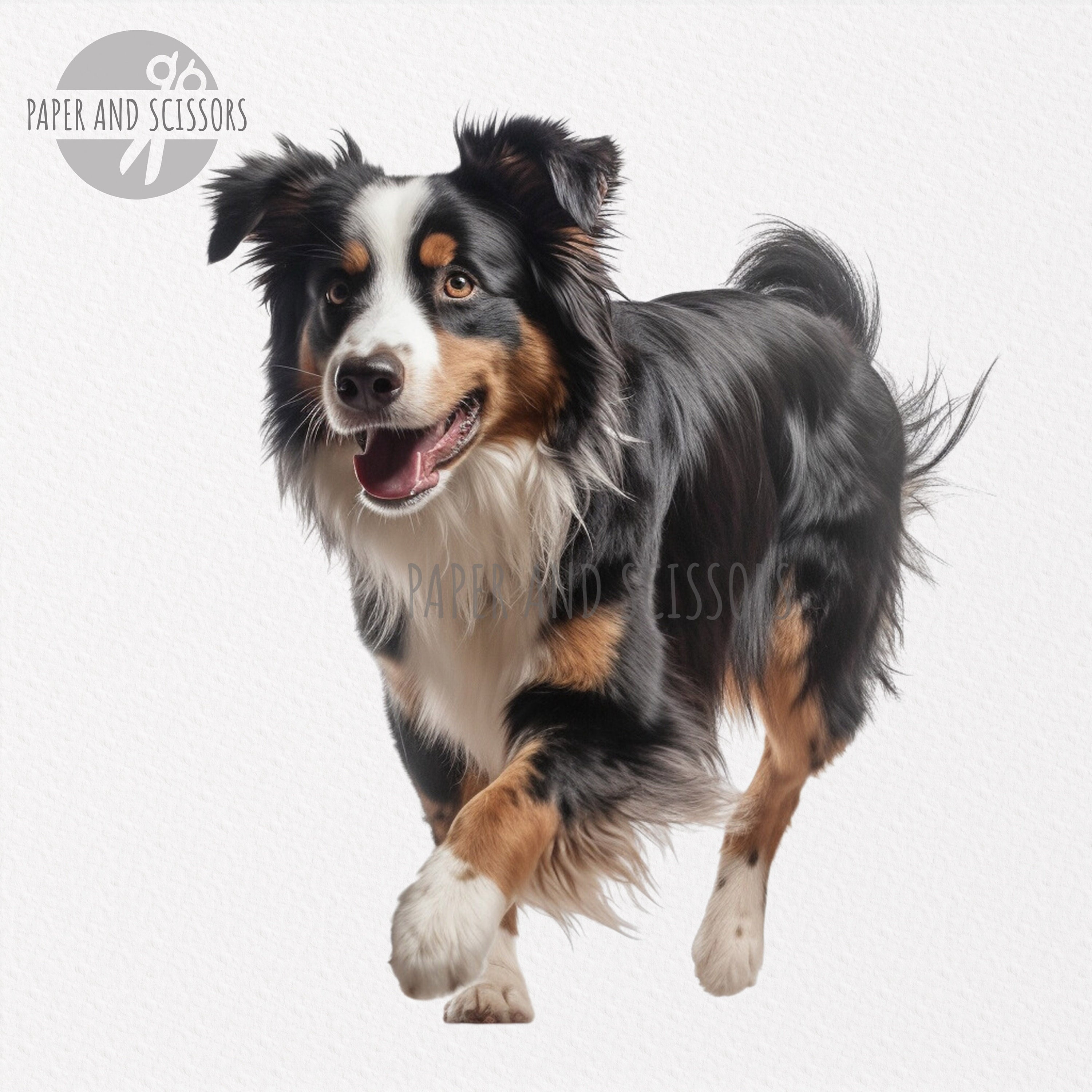 Imágenes Prediseñadas de perro pastor australiano tricolor negro, PNG tricolor  australiano australiano, ilustración australiana tricolor negra, imágenes  prediseñadas de perro, PNG de perro, australiano - Etsy México, image size:3000x3000