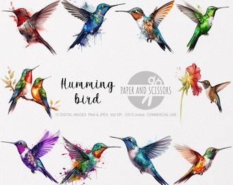 Könnte beinhalten: Zehn digitale Bilder von Aquarell-Kolibris in verschiedenen Farben und Posen. Die Kolibris sind vor einem weißen Hintergrund mit Aquarell-Spritzen dargestellt. Der Text "Humming bird" und "PAPER AND SCISSORS" ist im Bild enthalten.