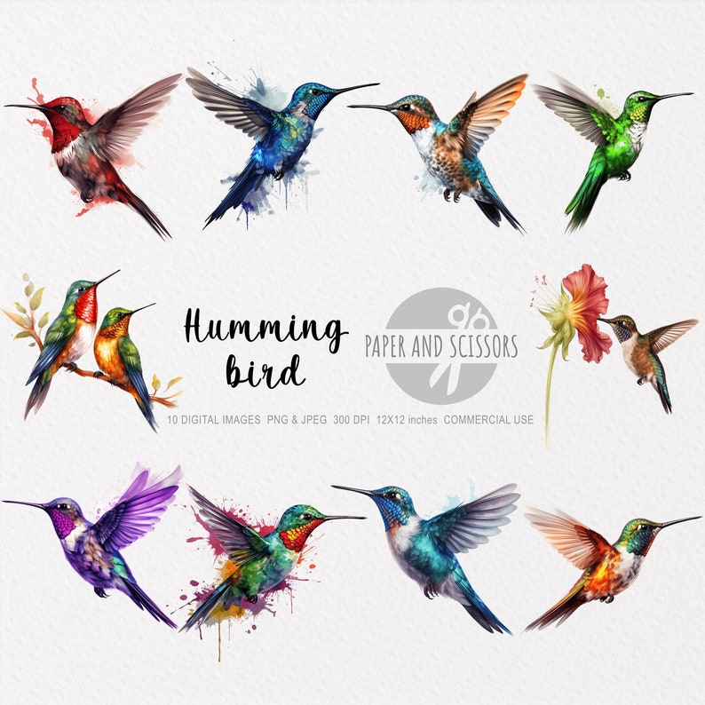May include: Ten digital images of watercolor hummingbirds in various colors and poses. The hummingbirds are depicted against a white background with watercolor splatters. The text "Humming bird" and "PAPER AND SCISSORS" is included in the image.