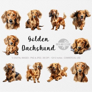 Goldener Dackel Clipart, Goldener Dackel PNG, Dackel Illustration, Hund Clipart, transparenter Hintergrund, Sofort Download, Aquarell Hund