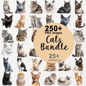 Plus de 250 images de chat PNG, lot de cliparts chat, chat PNG, art aquarelle chat, art mural chat, amoureux des chats, persan, tigré, bleu russe, chat Ragdoll