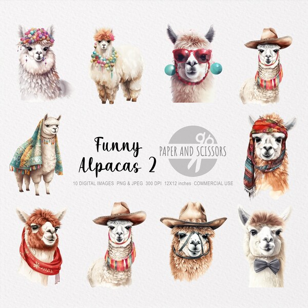 Funny Alpaca Clipart, Alpaca PNG, Alpaca illustration, Alpaca art, Transparent background, Instant download, Digital art, Wall Art, 12x12