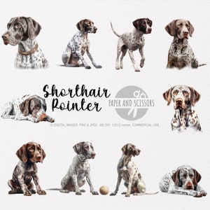 Könnte beinhalten: Zehn digitale Bilder eines Kurzhaar-Vorstehhundes in verschiedenen Posen. Der Hund ist braun und weiß mit schwarzen Flecken. Die Bilder sind 12x12 Zoll groß und haben 300 DPI.