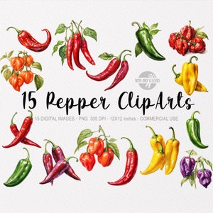 15 ClipArts de Pimientos Picantes, Pimientos Acuarela, Jalapeño, Chile, ClipArt de Comida, ClipArt Mexicano, Comida Picante, Cayena, Habanero, Aji, Serrano