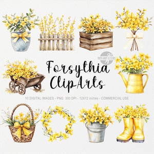 10 Forsythia ClipArt, fleur PNG, illustration de printemps, impression bohème aquarelle, décoration florale, jardin, Pâques Cottagecore, Coquette Journal Noeud