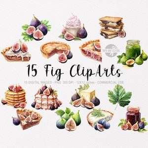 15 Fig ClipArt PNG, Fig illustration, Watercolor Fig Leaves, Farm & Garden Fruit PNG, Fig Jam, Fig Pie, Figs and Cheese, Green Figs, Farmer