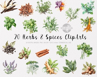 20 Herbs & Spices ClipArt, Herbs PNG, Spices PNG, Herbs illustration, Spices illustration, Spices ClipArt, Herbs ClipArt, Cooking ClipArt