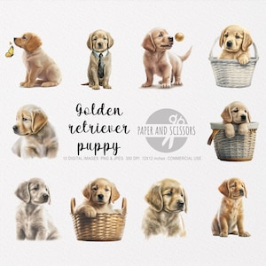 May include: Ten digital images of golden retriever puppies in various poses. Some puppies are sitting, some are standing, and some are in baskets. The images are high-quality and perfect for crafting projects, scrapbooking, or digital design.