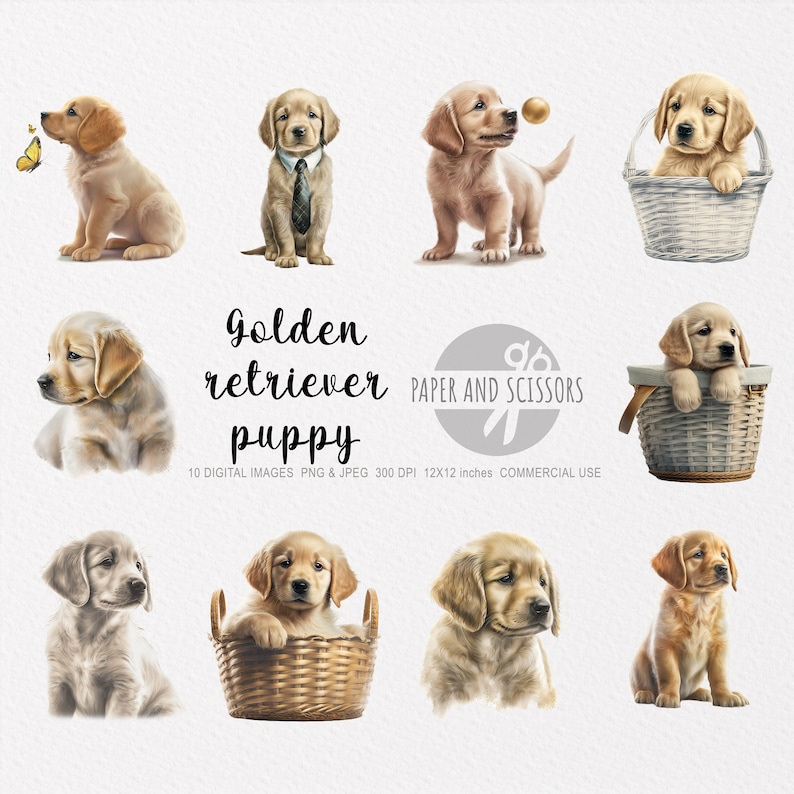 May include: Ten digital images of golden retriever puppies in various poses. Some puppies are sitting, some are standing, and some are in baskets. The images are high-quality and perfect for crafting projects, scrapbooking, or digital design.