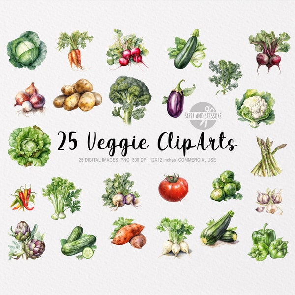 25 Vegetables ClipArt, Vegetables PNG, Vegetables illustration, Watercolor Veggies, Veggies PNG, Food ClipArt, Food PNG, Healthy food, Salad