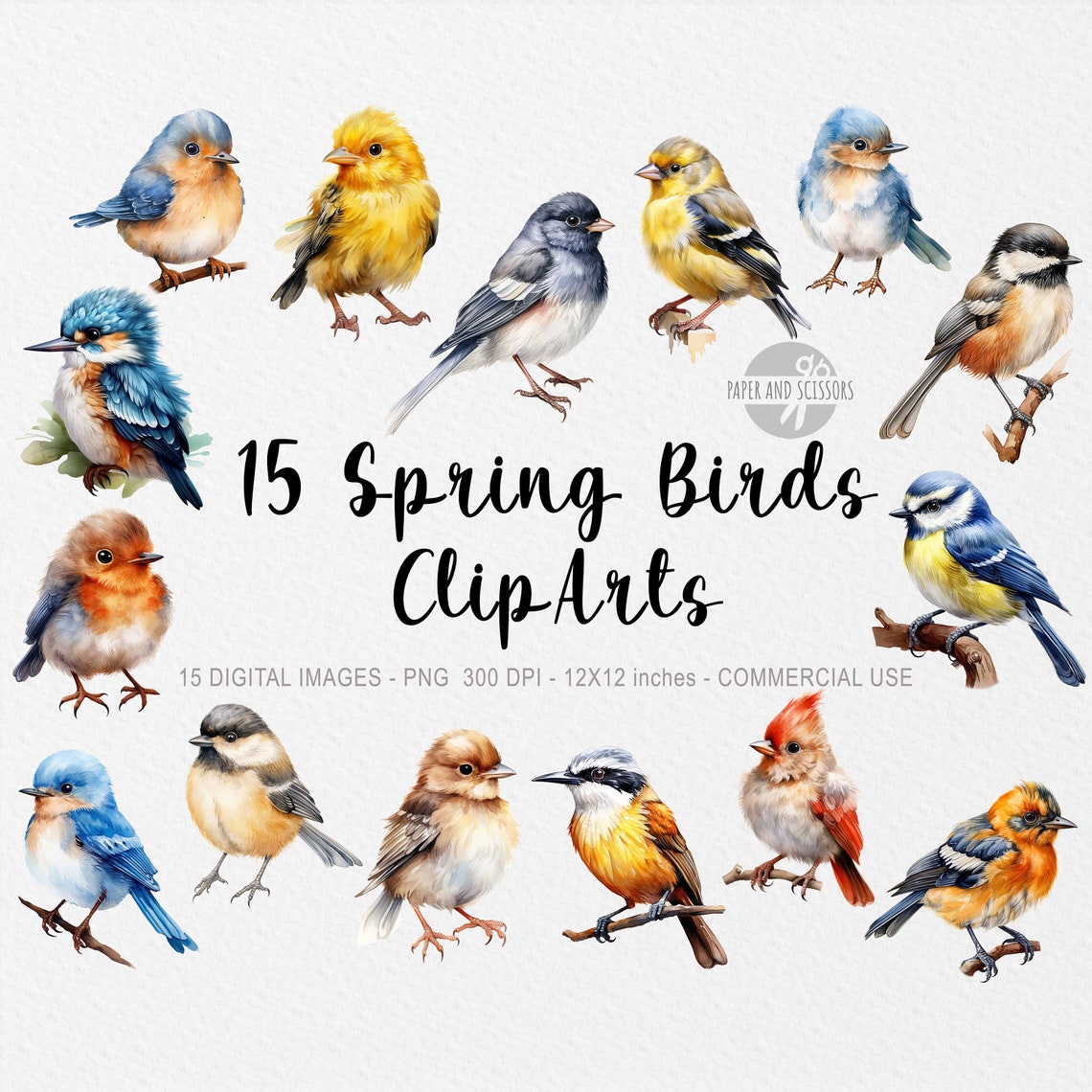 Spring Birds Logo 15 Spring Birds Cliparts, Little Birds PNG, Springtime Bird Images ...