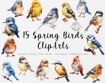 15 Spring Birds Cliparts, Little Birds PNG, Springtime Bird Images, Charming Birdie Graphics, Instant Digital Download, Commercial Use