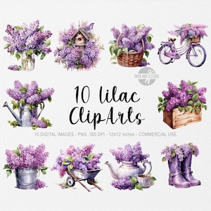 10 ClipArts lilas, PNG lila, ilustración lila, flores de acuarela, PNG floral, imágenes prediseñadas de flores, flores PNG, imágenes prediseñadas de primavera, png de primavera