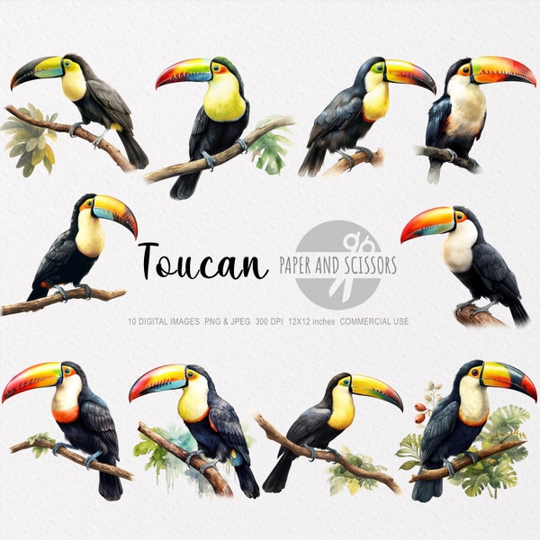 Toucan Clipart, Toucan PNG, Toucan illustration, Toucan Watercolor, Toucan Wall Art, Animal Wall Decor, Animal Clipart, Animal PNG, Toucan
