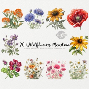 May include: A set of 20 digital images featuring watercolor illustrations of various wildflowers, including blue cornflowers, yellow black-eyed susans, red poppies, and white daisies. The images are 12x12 inches and 300 DPI.